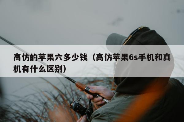 高仿的苹果六多少钱（高仿苹果6s手机和真机有什么区别）