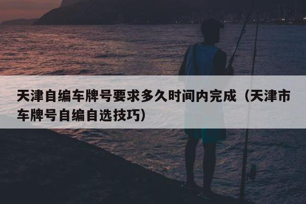 天津自编车牌号要求多久时间内完成（天津市车牌号自编自选技巧）