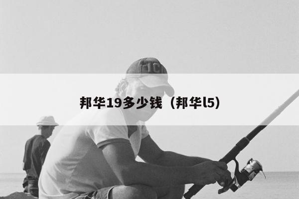 邦华19多少钱（邦华l5）