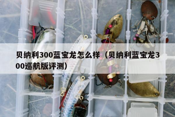 贝纳利300蓝宝龙怎么样（贝纳利蓝宝龙300巡航版评测）