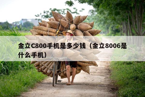 金立C800手机是多少钱（金立8006是什么手机）