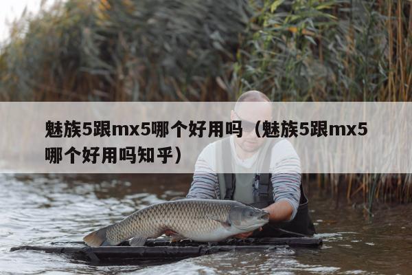 魅族5跟mx5哪个好用吗（魅族5跟mx5哪个好用吗知乎）