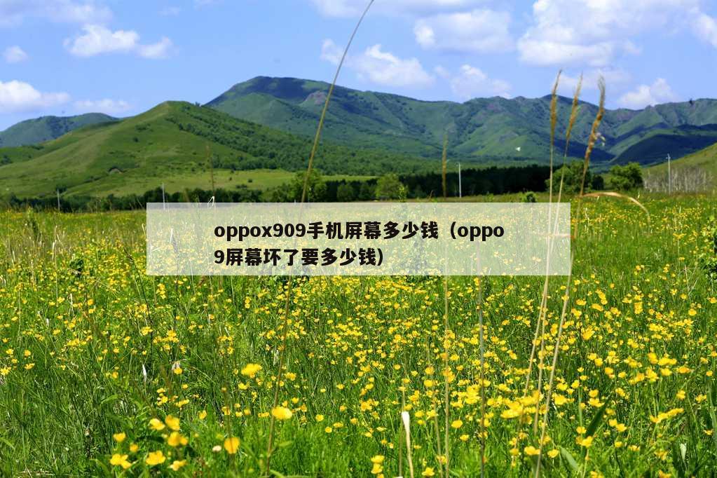 oppox909手机屏幕多少钱（oppo9屏幕坏了要多少钱）