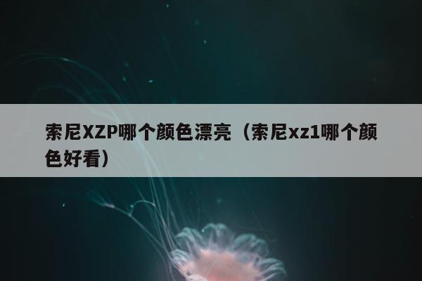 索尼XZP哪个颜色漂亮（索尼xz1哪个颜色好看）