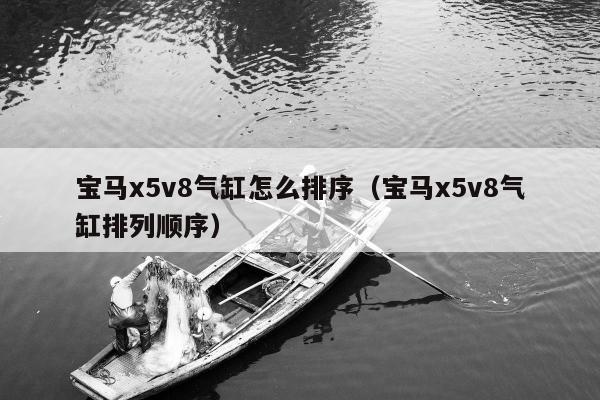 宝马x5v8气缸怎么排序（宝马x5v8气缸排列顺序）