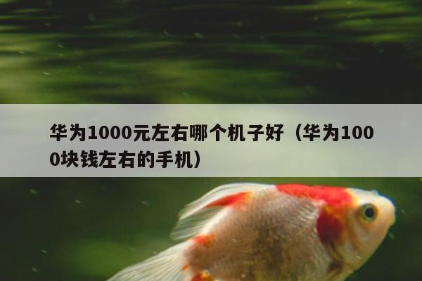 华为1000元左右哪个机子好（华为1000块钱左右的手机）