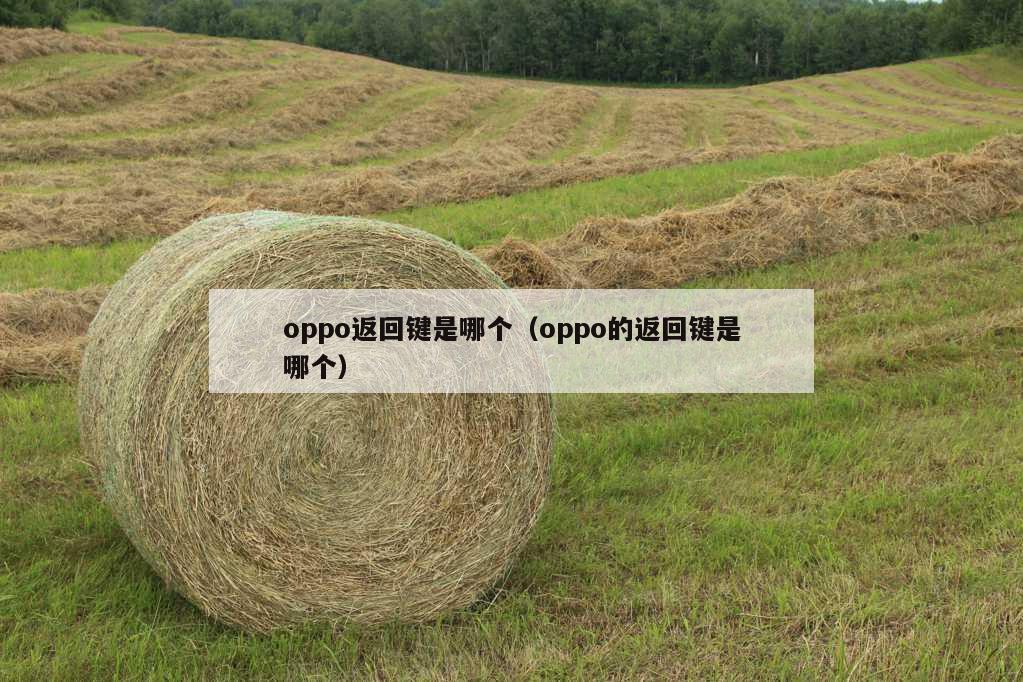 oppo返回键是哪个（oppo的返回键是哪个）