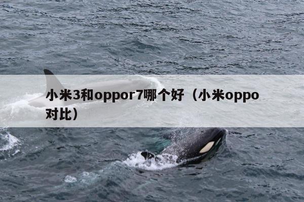 小米3和oppor7哪个好（小米oppo对比）