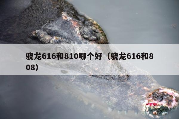 骁龙616和810哪个好（骁龙616和808）