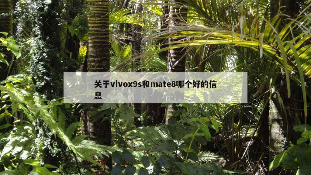 关于vivox9s和mate8哪个好的信息