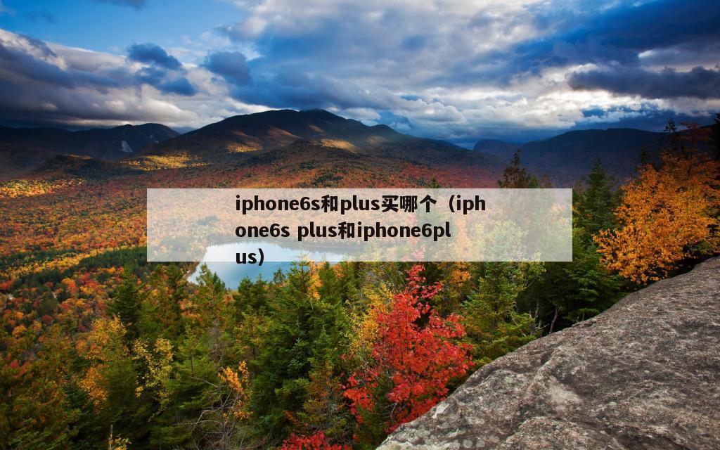 iphone6s和plus买哪个（iphone6s plus和iphone6plus）