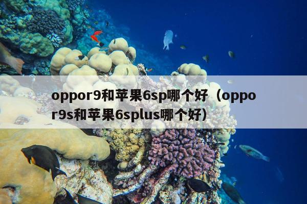 oppor9和苹果6sp哪个好（oppor9s和苹果6splus哪个好）