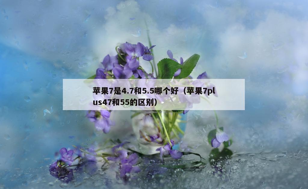 苹果7是4.7和5.5哪个好（苹果7plus47和55的区别）