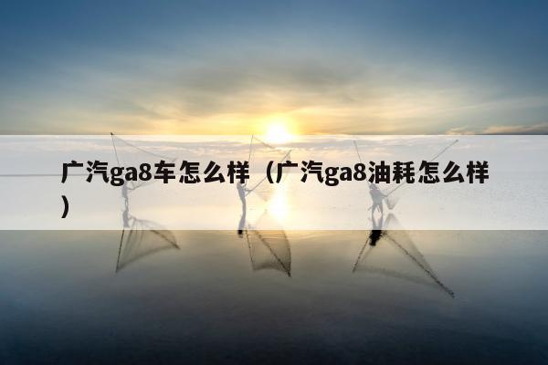 广汽ga8车怎么样（广汽ga8油耗怎么样）