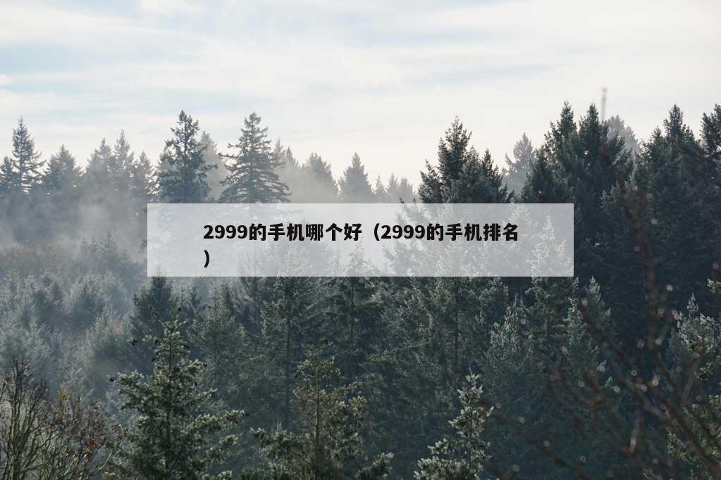 2999的手机哪个好（2999的手机排名）