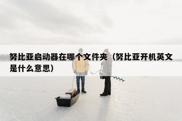 努比亚启动器在哪个文件夹（努比亚开机英文是什么意思）