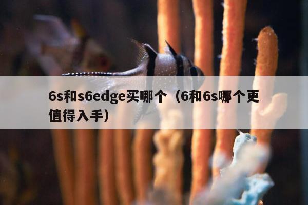 6s和s6edge买哪个（6和6s哪个更值得入手）