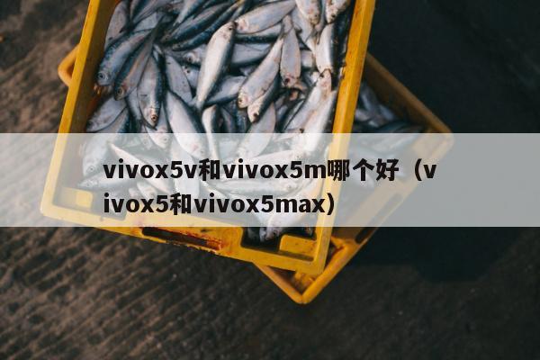 vivox5v和vivox5m哪个好（vivox5和vivox5max）