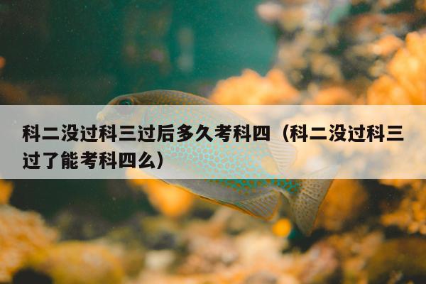 科二没过科三过后多久考科四（科二没过科三过了能考科四么）