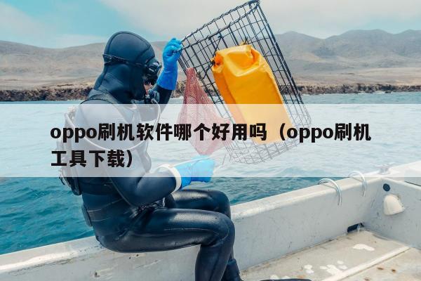 oppo刷机软件哪个好用吗（oppo刷机工具下载）