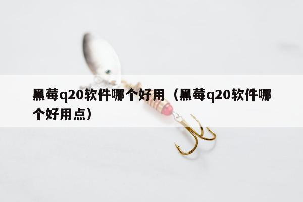 黑莓q20软件哪个好用（黑莓q20软件哪个好用点）