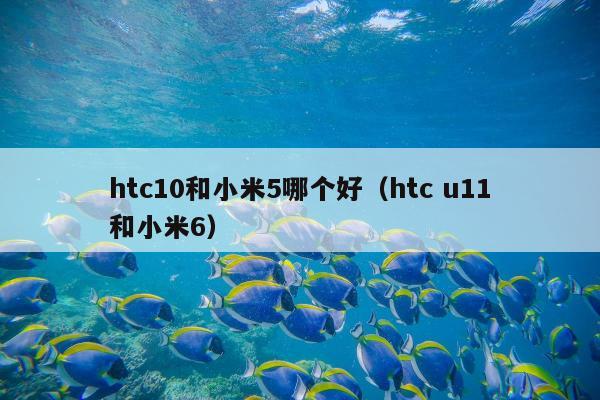 htc10和小米5哪个好（htc u11和小米6）