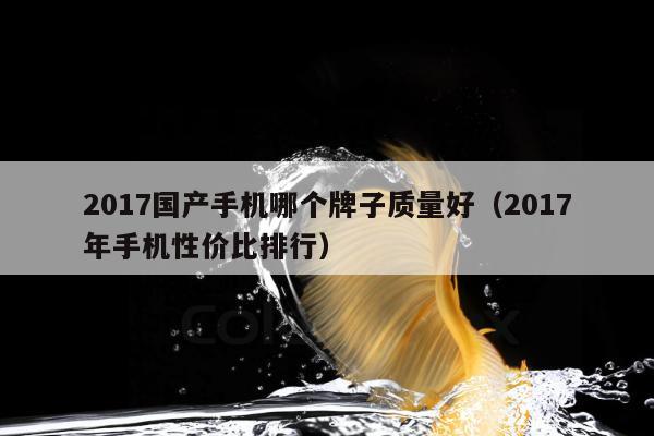 2017国产手机哪个牌子质量好（2017年手机性价比排行）