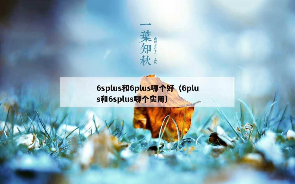 6splus和6plus哪个好（6plus和6splus哪个实用）