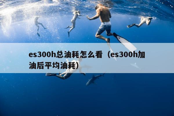 es300h总油耗怎么看（es300h加油后平均油耗）