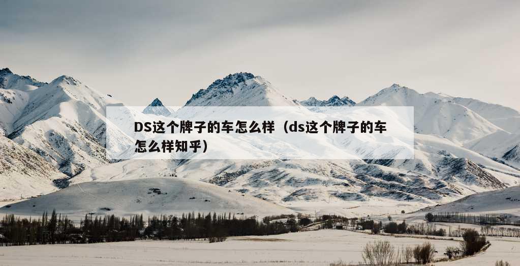 DS这个牌子的车怎么样（ds这个牌子的车怎么样知乎）