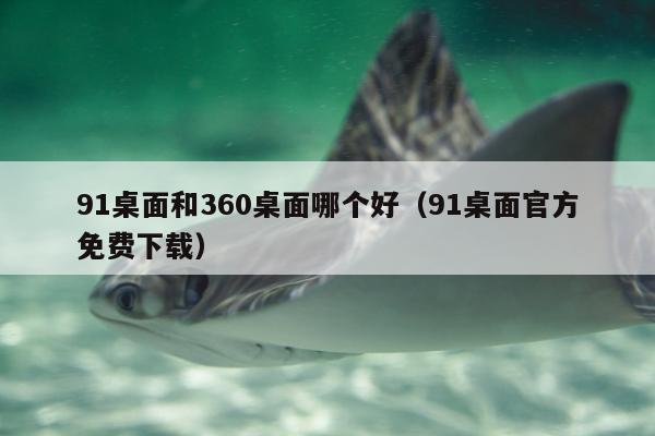 91桌面和360桌面哪个好（91桌面官方免费下载）