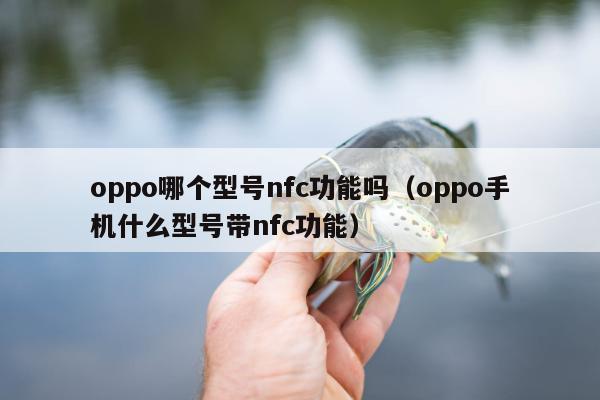 oppo哪个型号nfc功能吗（oppo手机什么型号带nfc功能）