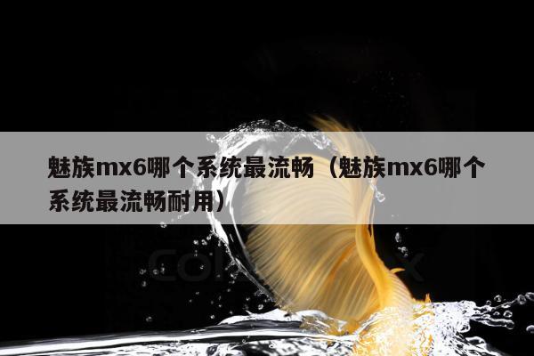 魅族mx6哪个系统最流畅（魅族mx6哪个系统最流畅耐用）