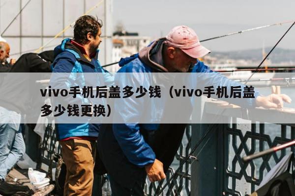 vivo手机后盖多少钱（vivo手机后盖多少钱更换）