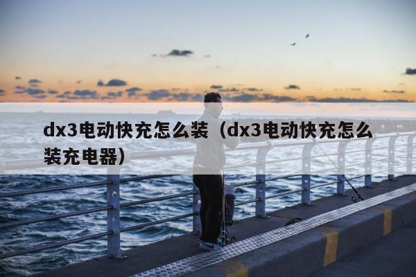 dx3电动快充怎么装（dx3电动快充怎么装充电器）