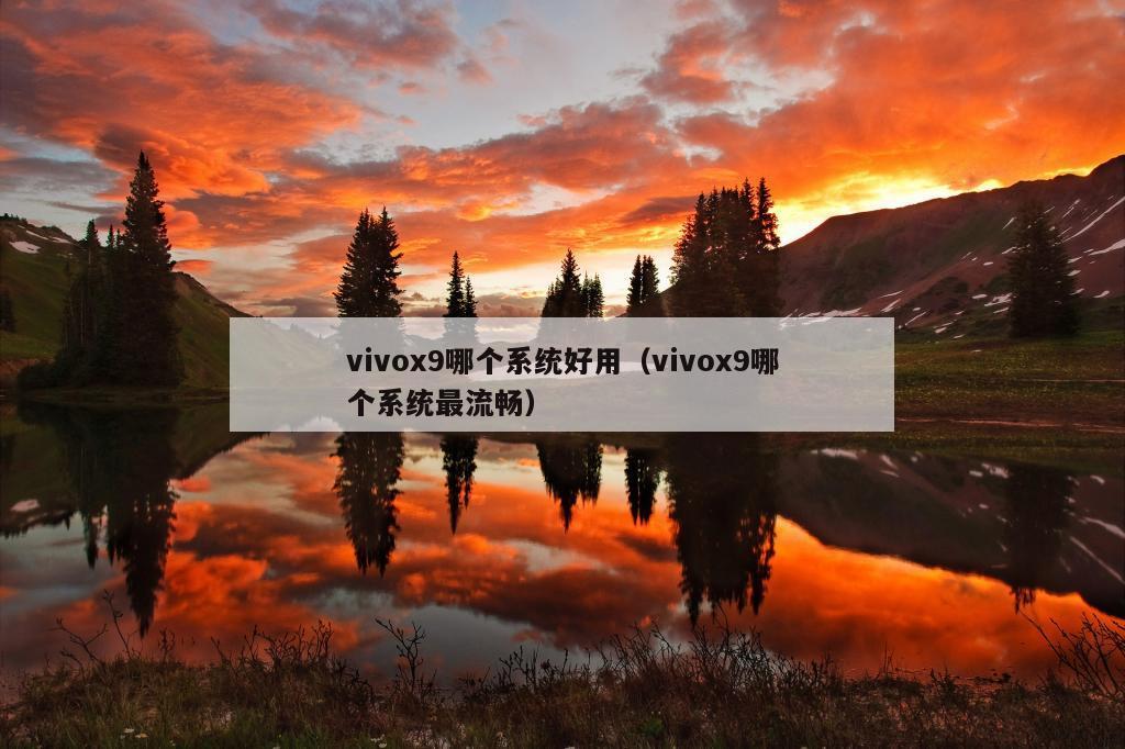 vivox9哪个系统好用（vivox9哪个系统最流畅）