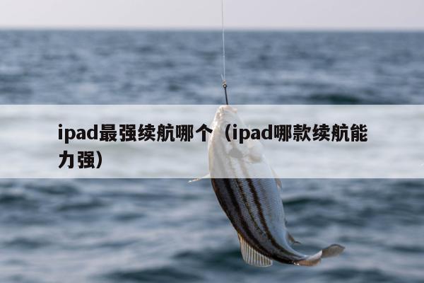 ipad最强续航哪个（ipad哪款续航能力强）