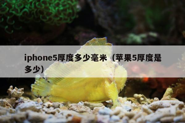 iphone5厚度多少毫米（苹果5厚度是多少）