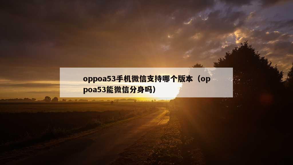 oppoa53手机微信支持哪个版本（oppoa53能微信分身吗）