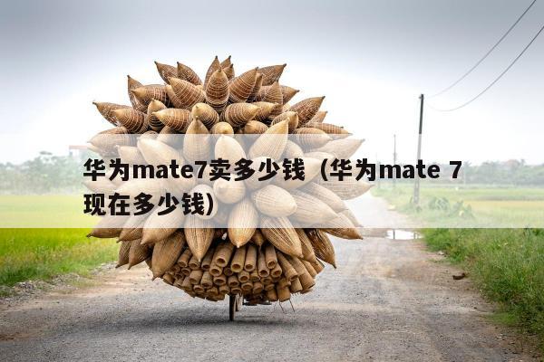 华为mate7卖多少钱（华为mate 7现在多少钱）