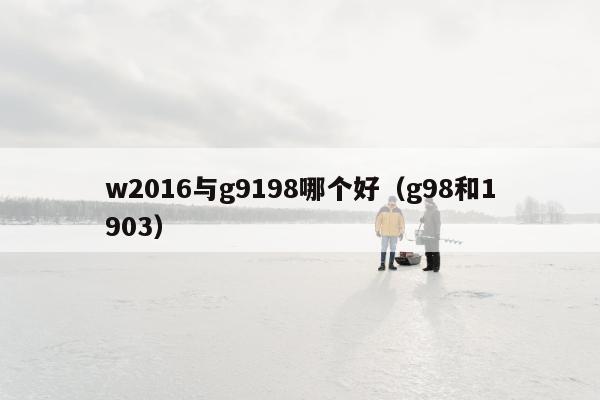 w2016与g9198哪个好（g98和1903）