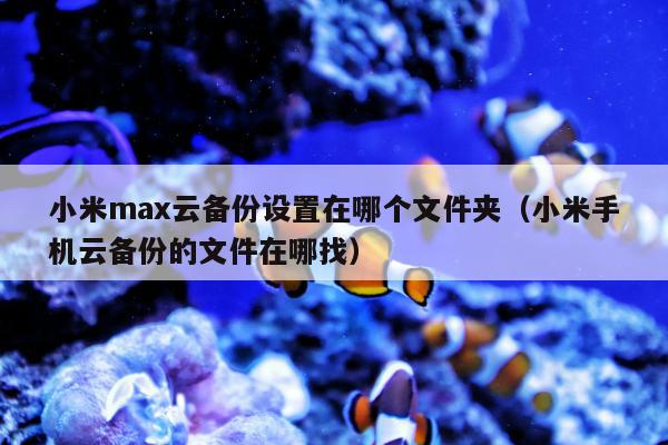 小米max云备份设置在哪个文件夹（小米手机云备份的文件在哪找）