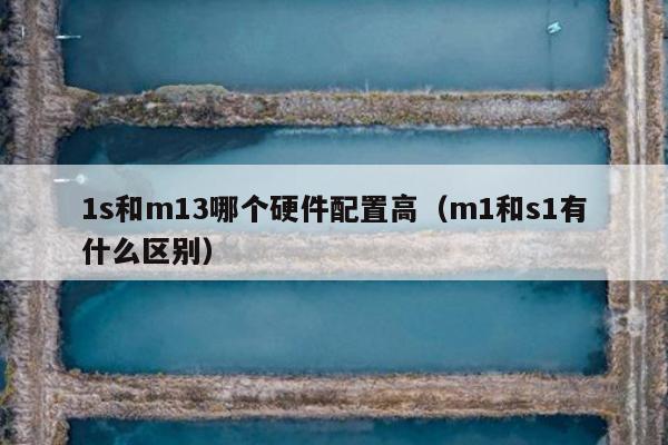 1s和m13哪个硬件配置高（m1和s1有什么区别）