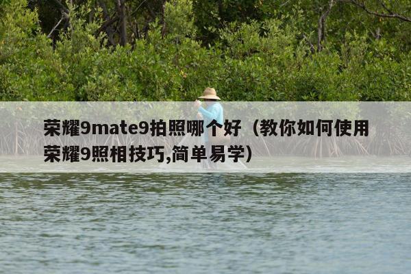 荣耀9mate9拍照哪个好（教你如何使用荣耀9照相技巧,简单易学）