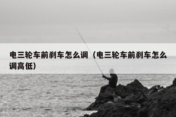 电三轮车前刹车怎么调（电三轮车前刹车怎么调高低）