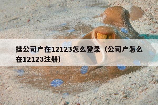 挂公司户在12123怎么登录（公司户怎么在12123注册）