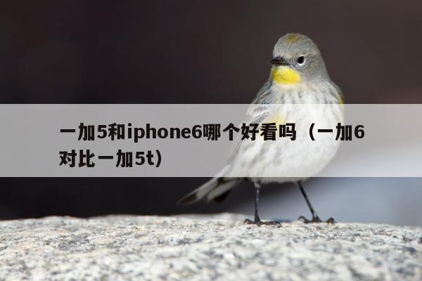 一加5和iphone6哪个好看吗（一加6对比一加5t）