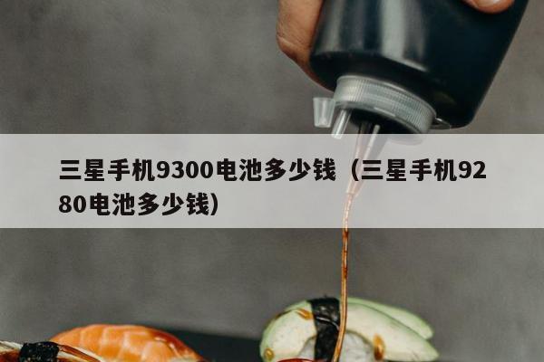 三星手机9300电池多少钱（三星手机9280电池多少钱）