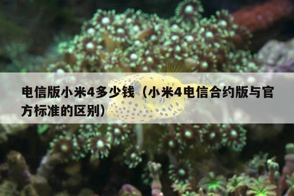 电信版小米4多少钱（小米4电信合约版与官方标准的区别）