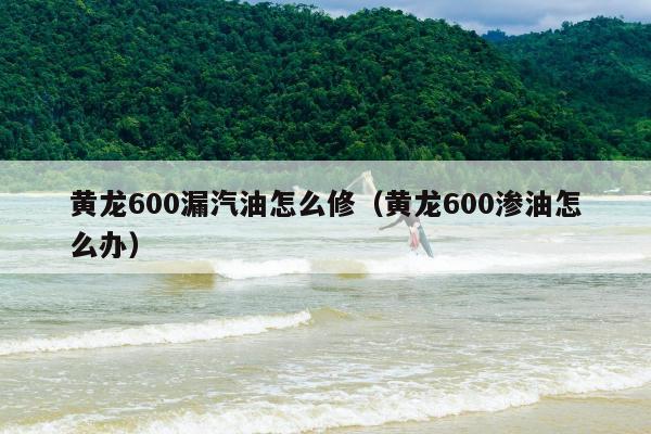 黄龙600漏汽油怎么修（黄龙600渗油怎么办）